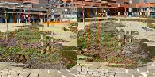 Zomerschool 3