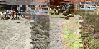 Zomerschool 2