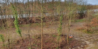 Bos In Zicht 02