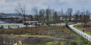 Bos In Zicht 05