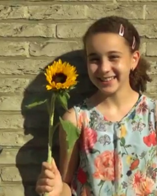Dankjewelmetzonnebloem B