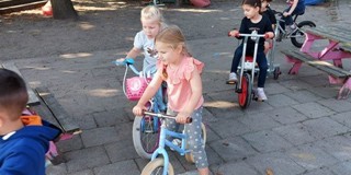 Eenpleintjeomveiligtelerenkeren3