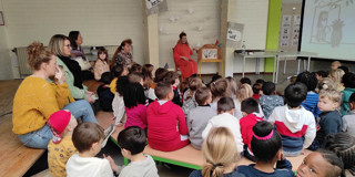Anke 4