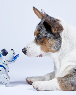 Een Nieuw Vriendschap Rh