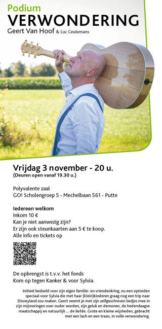 Gitaar