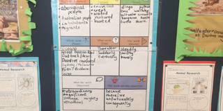 Word Bank For Writing Rh